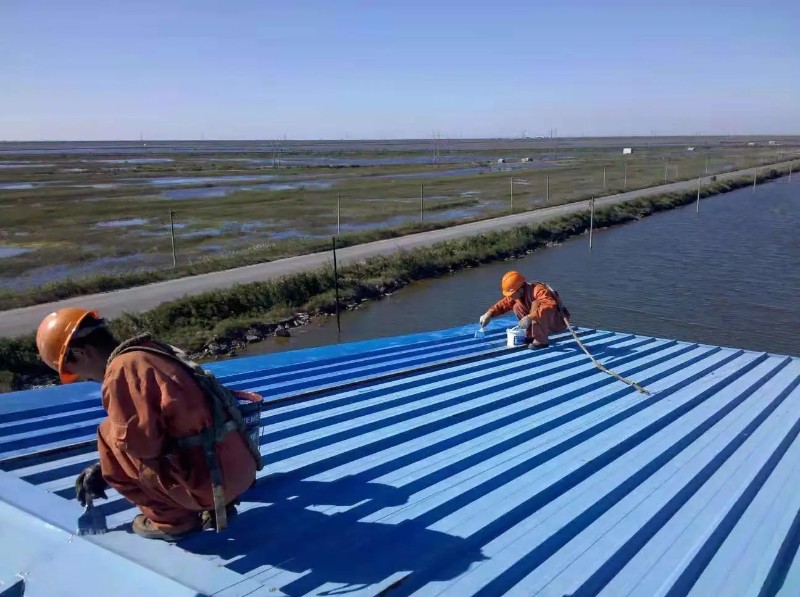 亳州彩钢瓦屋面防腐翻新